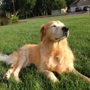 Meet your Posher, Vicki